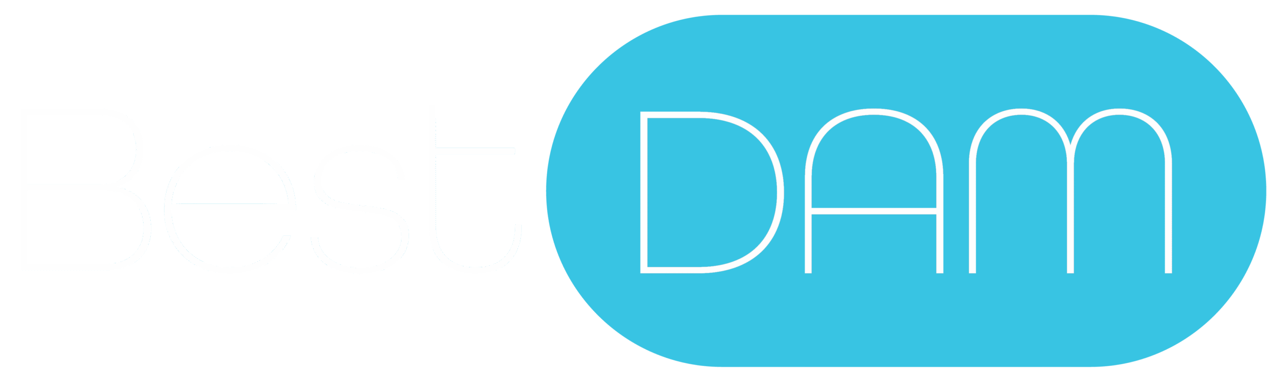Best Digital Asset Management