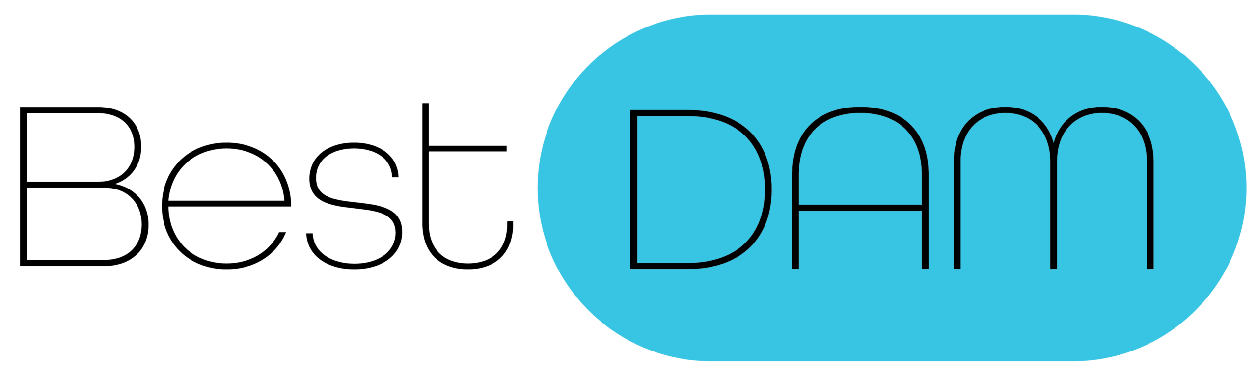 Best DAM logo